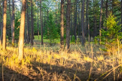 This gorgeous, 9+ usable acres offers the best of both worlds -- on Wilderness Club in Montana - for sale on GolfHomes.com, golf home, golf lot