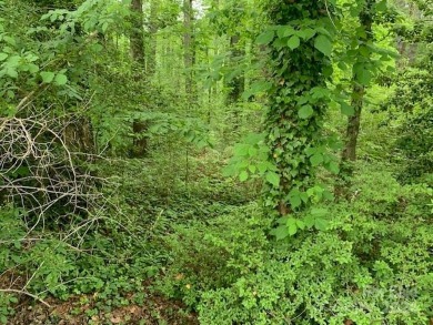 Said to be the LAST LOT IN *CROOKED CREEK*, always a favored on Crooked Creek Golf Course in North Carolina - for sale on GolfHomes.com, golf home, golf lot