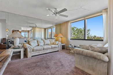 BEST PRICE IN ISLA DEL SOL! This spacious 2BR condo has on Isla Del Sol Yacht and Country Club in Florida - for sale on GolfHomes.com, golf home, golf lot