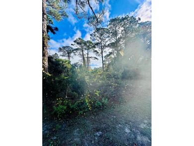 If you are in the market for a high-end golf community, St on St. James Bay in Florida - for sale on GolfHomes.com, golf home, golf lot