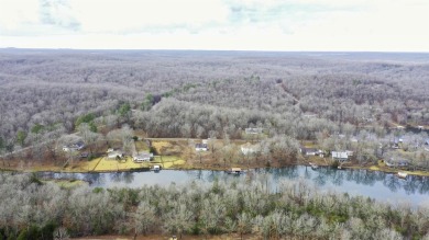 Seller offering $5,000 towards buyer's concessions!  Discover an on Cherokee Village South Course in Arkansas - for sale on GolfHomes.com, golf home, golf lot