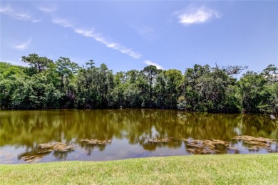 Welcome to Eastlake Woodlands, a stunning golf community nestled on East Lake Woodlands Country Club in Florida - for sale on GolfHomes.com, golf home, golf lot