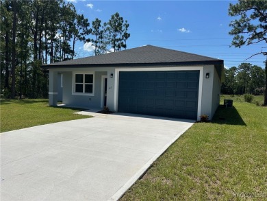 Discover this stunning, brand-new home in Citrus Springs on Citrus Springs Country Club in Florida - for sale on GolfHomes.com, golf home, golf lot