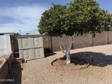 This beautifully updated home sits on an oversized lot in on Sunland Village East Golf Course in Arizona - for sale on GolfHomes.com, golf home, golf lot