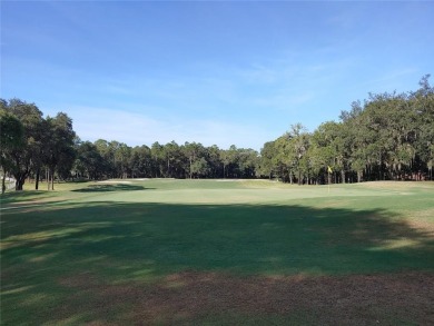 Build your Beautiful Custom Home on this stunning lot nestled on Okefenokee Country Club in Georgia - for sale on GolfHomes.com, golf home, golf lot