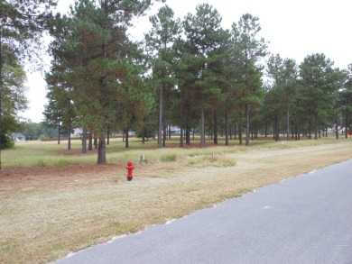 Lot #19. This lot is located in the private Waynesborough Place on Waynesboro Country Club in Georgia - for sale on GolfHomes.com, golf home, golf lot