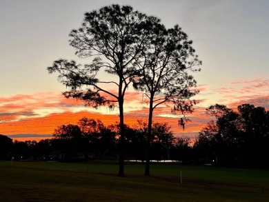 If you are searching for a quaint central Florida community with on Harbor Hills Country Club in Florida - for sale on GolfHomes.com, golf home, golf lot