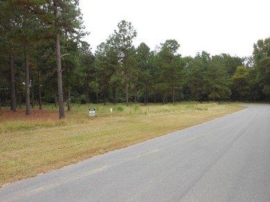 Lot#14. This lot is located in the private Waynesborough Place on Waynesboro Country Club in Georgia - for sale on GolfHomes.com, golf home, golf lot