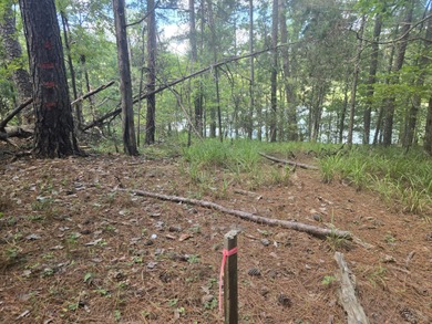 Outstanding Golf Course lot with water view and access, a rare on Monticello Golf Club At Savannah Lakes in South Carolina - for sale on GolfHomes.com, golf home, golf lot