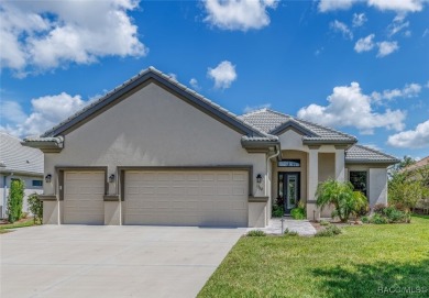 This Home will absolutely take your breath away... TERRA VISTA on Skyview At Terra Vista Golf and Country Club in Florida - for sale on GolfHomes.com, golf home, golf lot