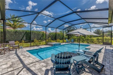 This Home will absolutely take your breath away... TERRA VISTA on Skyview At Terra Vista Golf and Country Club in Florida - for sale on GolfHomes.com, golf home, golf lot