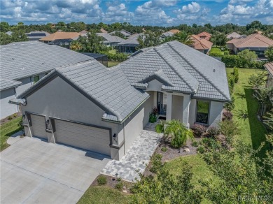 This Home will absolutely take your breath away... TERRA VISTA on Skyview At Terra Vista Golf and Country Club in Florida - for sale on GolfHomes.com, golf home, golf lot