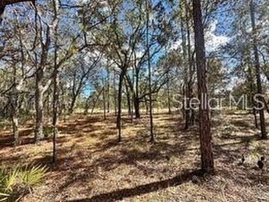 Check out these two lots (side by side) in Sugarmill Woods - in on Sugarmill Woods Golf and Country Club in Florida - for sale on GolfHomes.com, golf home, golf lot