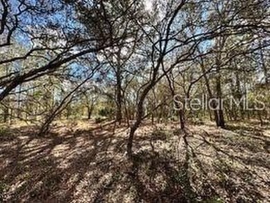 Check out these two lots (side by side) in Sugarmill Woods - in on Sugarmill Woods Golf and Country Club in Florida - for sale on GolfHomes.com, golf home, golf lot