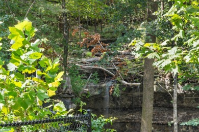 Luxury Lakefront Living - Table Rock Shore ResortNow offering on Kimberling City Golf Club in Missouri - for sale on GolfHomes.com, golf home, golf lot