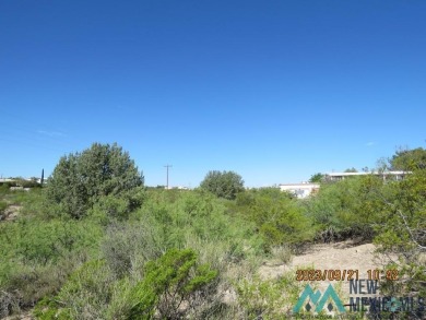 Lake view from this 0.68 acre lot in Elephant Butte. Build your on Sierra Del Rio Golf Club in New Mexico - for sale on GolfHomes.com, golf home, golf lot