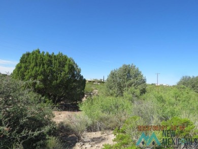 Lake view from this 0.68 acre lot in Elephant Butte. Build your on Sierra Del Rio Golf Club in New Mexico - for sale on GolfHomes.com, golf home, golf lot