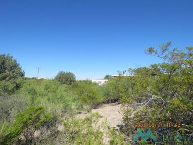 Lake view from this 0.68 acre lot in Elephant Butte. Build your on Sierra Del Rio Golf Club in New Mexico - for sale on GolfHomes.com, golf home, golf lot