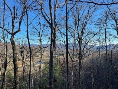 This lot is waiting for you to bring your house plan and begin on Mountain Harbour Golf Club in North Carolina - for sale on GolfHomes.com, golf home, golf lot