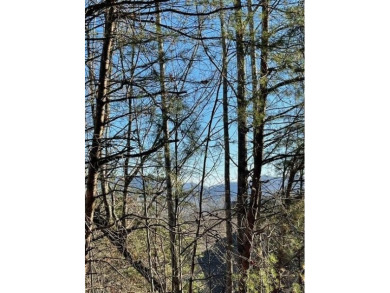 This lot is waiting for you to bring your house plan and begin on Mountain Harbour Golf Club in North Carolina - for sale on GolfHomes.com, golf home, golf lot