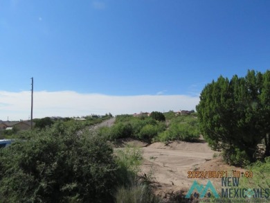 Lake view from this 0.68 acre lot in Elephant Butte. Build your on Sierra Del Rio Golf Club in New Mexico - for sale on GolfHomes.com, golf home, golf lot