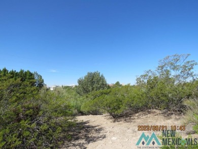 Lake view from this 0.68 acre lot in Elephant Butte. Build your on Sierra Del Rio Golf Club in New Mexico - for sale on GolfHomes.com, golf home, golf lot