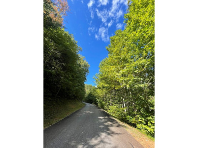 This lot is waiting for you to bring your house plan and begin on Mountain Harbour Golf Club in North Carolina - for sale on GolfHomes.com, golf home, golf lot