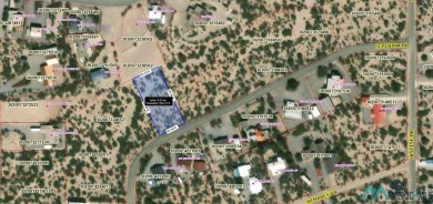 Large 100x225 lot in Elephant Butte, paved road, just minutes to on Sierra Del Rio Golf Club in New Mexico - for sale on GolfHomes.com, golf home, golf lot