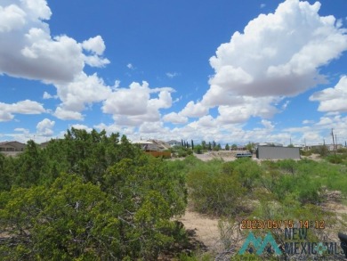 Large 100x225 lot in Elephant Butte, paved road, just minutes to on Sierra Del Rio Golf Club in New Mexico - for sale on GolfHomes.com, golf home, golf lot