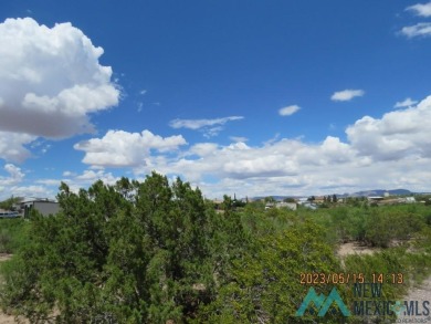 Large 100x225 lot in Elephant Butte, paved road, just minutes to on Sierra Del Rio Golf Club in New Mexico - for sale on GolfHomes.com, golf home, golf lot