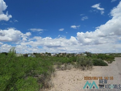 Large 100x225 lot in Elephant Butte, paved road, just minutes to on Sierra Del Rio Golf Club in New Mexico - for sale on GolfHomes.com, golf home, golf lot