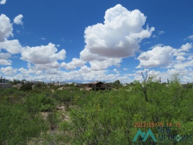 Large 100x225 lot in Elephant Butte, paved road, just minutes to on Sierra Del Rio Golf Club in New Mexico - for sale on GolfHomes.com, golf home, golf lot