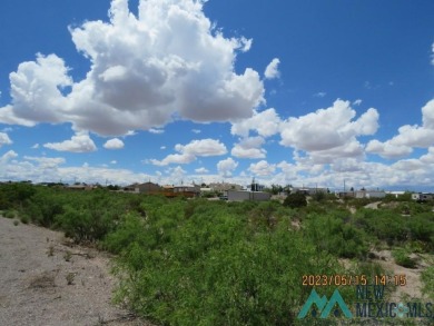 Large 100x225 lot in Elephant Butte, paved road, just minutes to on Sierra Del Rio Golf Club in New Mexico - for sale on GolfHomes.com, golf home, golf lot