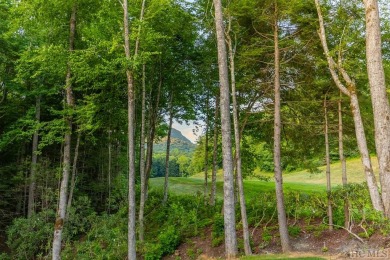 Introducing a brand new, light-filled modern mountain residence on Burlingame Country Club in North Carolina - for sale on GolfHomes.com, golf home, golf lot