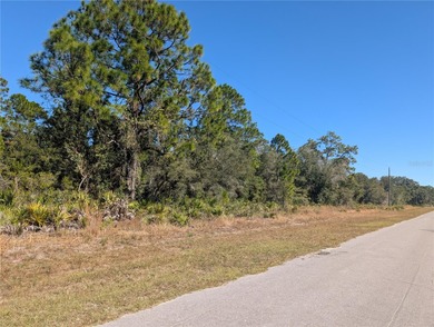 Come build your forever home on this one-half acre lot located on Indian Lake Estates Golf and Country Club in Florida - for sale on GolfHomes.com, golf home, golf lot