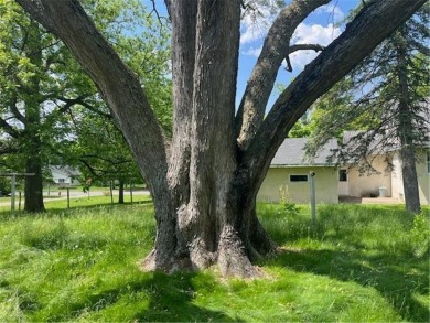 In the heart of town, this 2 story is nestled in between mature on The Amery Golf Club in Wisconsin - for sale on GolfHomes.com, golf home, golf lot