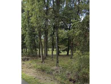 Fantastic golf-course lot sitting right off the #5 tee box with on  in Arkansas - for sale on GolfHomes.com, golf home, golf lot