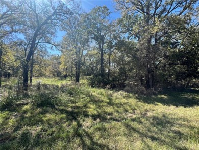 NICE LEVEL LOT WITH MANY TREES IN BEAUTIFUL WHITE BLUFF RESORT on White Bluff Resort - Old Course in Texas - for sale on GolfHomes.com, golf home, golf lot