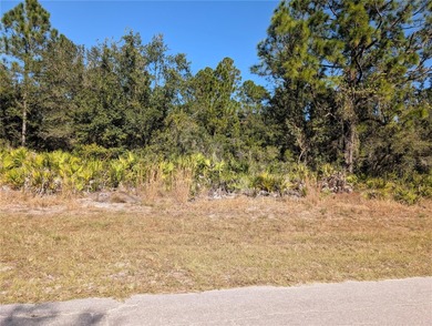 Come build your forever home on this one-half acre lot located on Indian Lake Estates Golf and Country Club in Florida - for sale on GolfHomes.com, golf home, golf lot