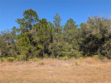 Come build your forever home on this one-half acre lot located on Indian Lake Estates Golf and Country Club in Florida - for sale on GolfHomes.com, golf home, golf lot