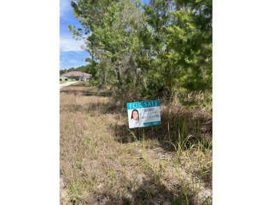 Owner financing ! Lock in at an affordable price and build later on Lake June West Golf and Athletic Club in Florida - for sale on GolfHomes.com, golf home, golf lot