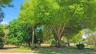 Comfortable, move-in ready double suite villa, featuring serene on Sugarmill Woods Golf and Country Club in Florida - for sale on GolfHomes.com, golf home, golf lot