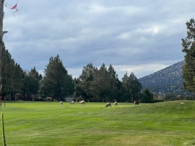 One of three Eagle Crest fractionals with a garage. This 10 week on Eagle Crest Golf Resort - Resort Course in Oregon - for sale on GolfHomes.com, golf home, golf lot