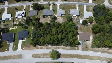 A 1/4 of an acre homesite in Citrus Springs. No HOA fees, but a on Pine Ridge Community Golf and Country Club in Florida - for sale on GolfHomes.com, golf home, golf lot