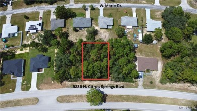 A 1/4 of an acre homesite in Citrus Springs. No HOA fees, but a on Pine Ridge Community Golf and Country Club in Florida - for sale on GolfHomes.com, golf home, golf lot