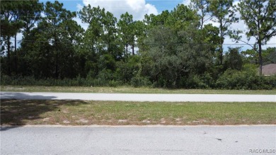 A 1/4 of an acre homesite in Citrus Springs. No HOA fees, but a on Pine Ridge Community Golf and Country Club in Florida - for sale on GolfHomes.com, golf home, golf lot