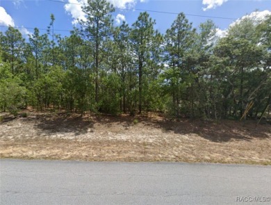 Build your dream home on this beautiful one-acre lot in Beverly on Pine Ridge Community Golf and Country Club in Florida - for sale on GolfHomes.com, golf home, golf lot