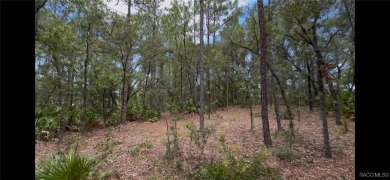 Build your dream home on this beautiful one-acre lot in Beverly on Pine Ridge Community Golf and Country Club in Florida - for sale on GolfHomes.com, golf home, golf lot