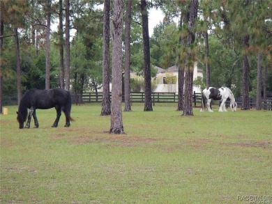 Build your dream home on this beautiful one-acre lot in Beverly on Pine Ridge Community Golf and Country Club in Florida - for sale on GolfHomes.com, golf home, golf lot