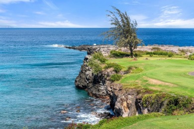 Welcome to The Ironwoods at Kapalua. This incredible oceanfront on Kapalua Golf Club - Bay Course in Hawaii - for sale on GolfHomes.com, golf home, golf lot